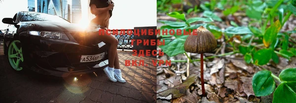 бутират Аркадак