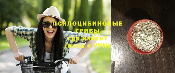 первитин Армянск